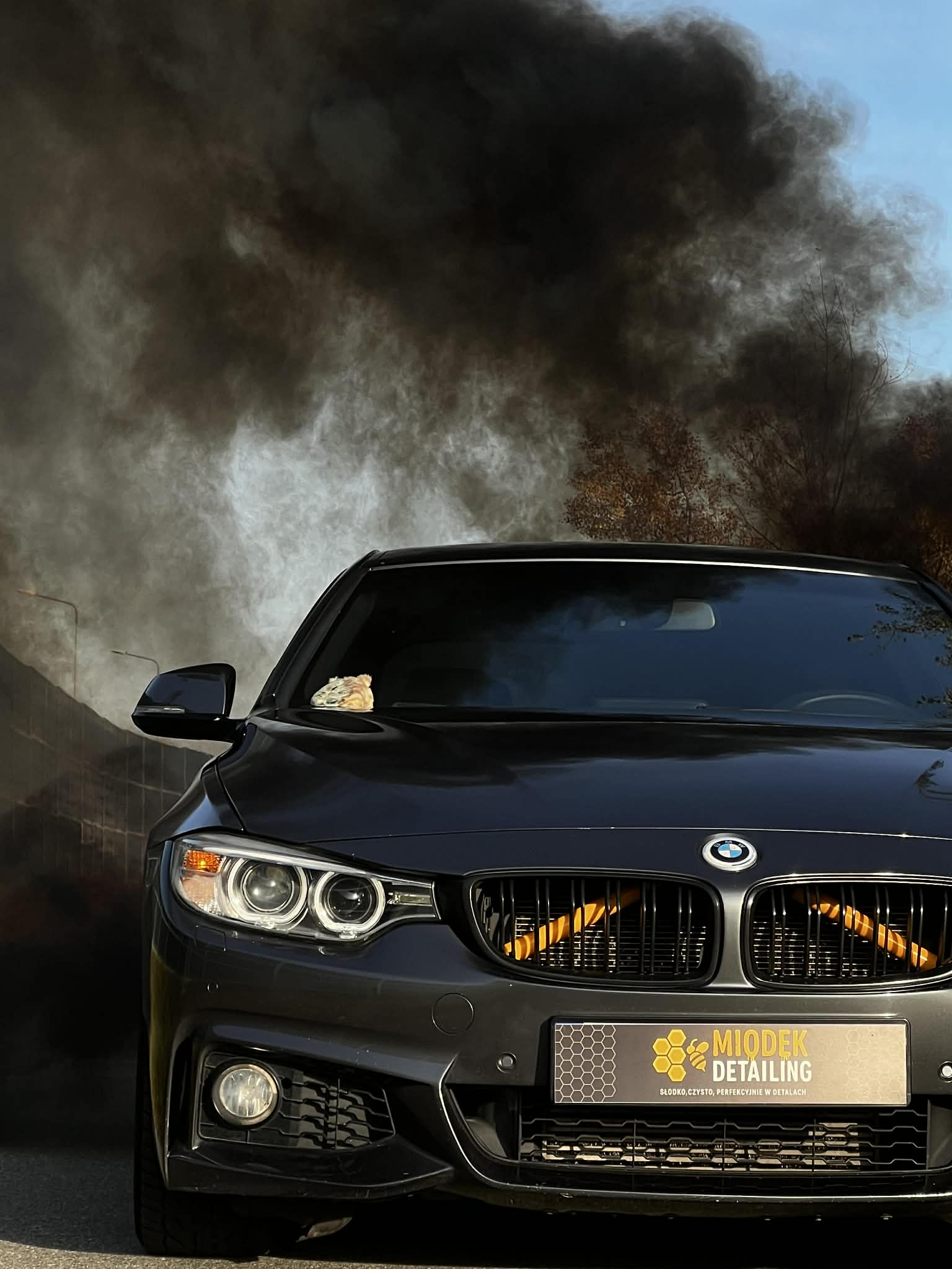 Miodek Detailing Car Hero